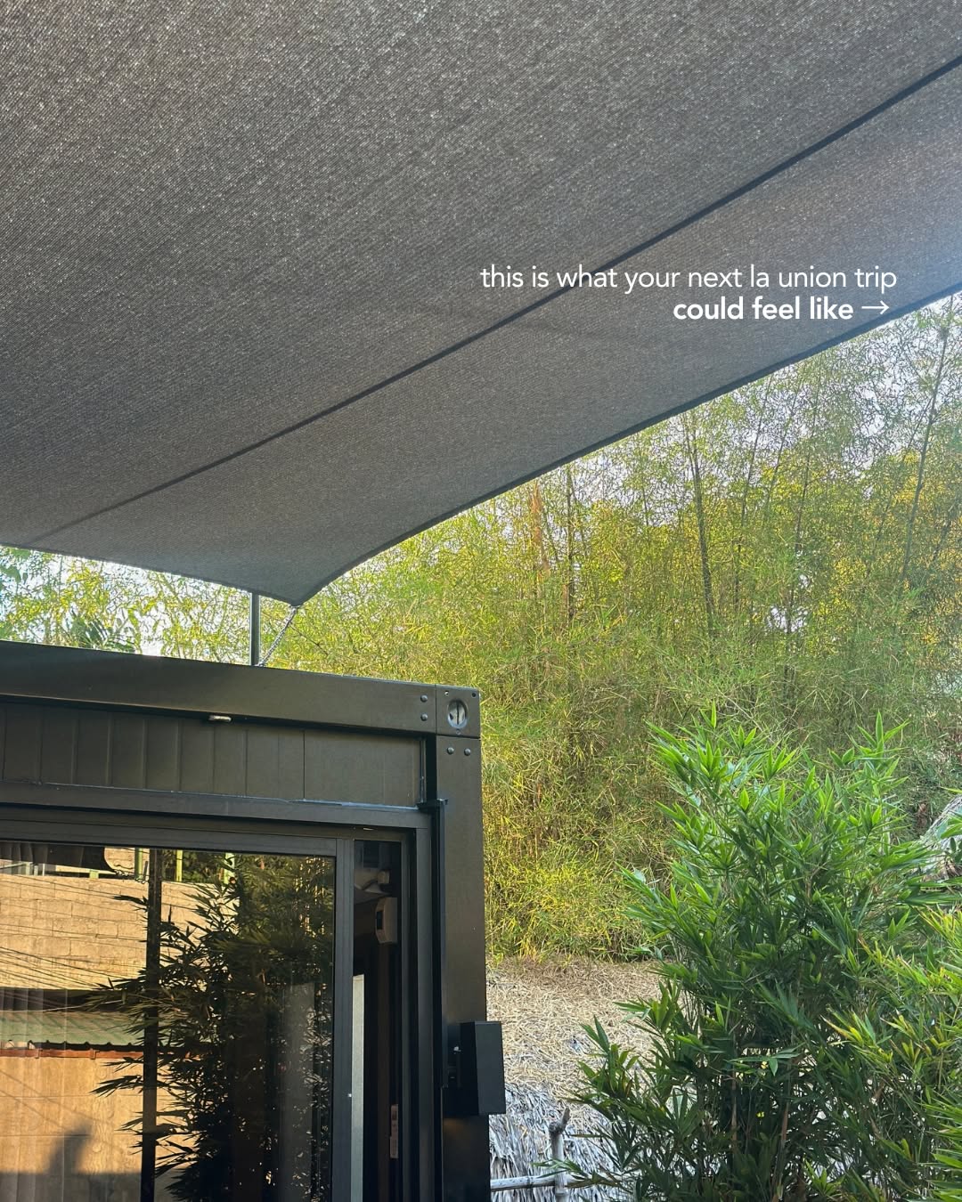 Container C1 exterior with shade sail and bamboo backdrop